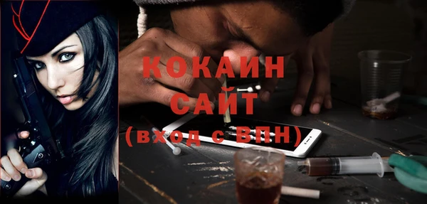дмт Касимов