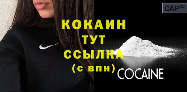 дмт Карпинск