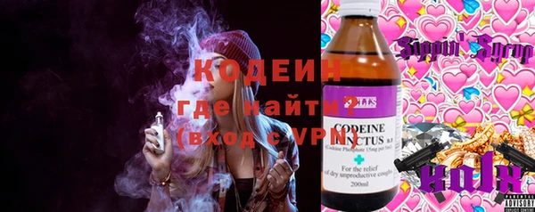 дмт Касимов