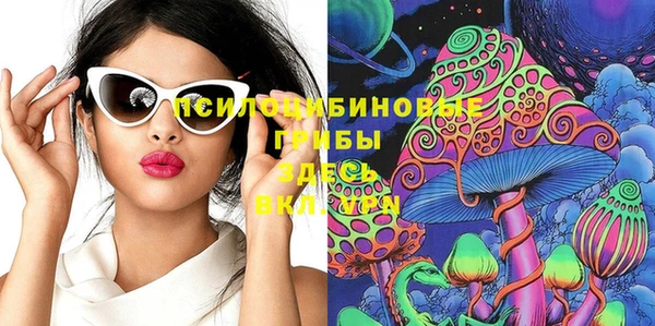 дмт Касимов