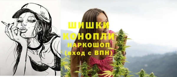 дмт Карпинск
