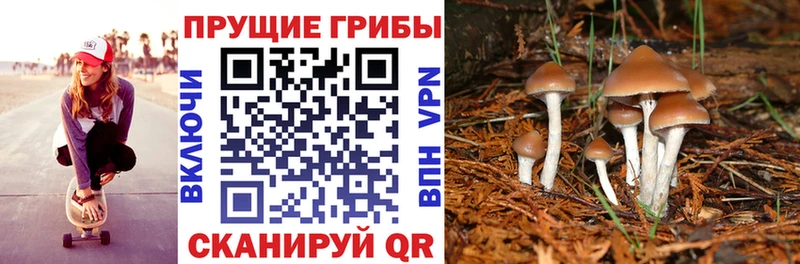 Псилоцибиновые грибы MAGIC MUSHROOMS наркотики Минусинск