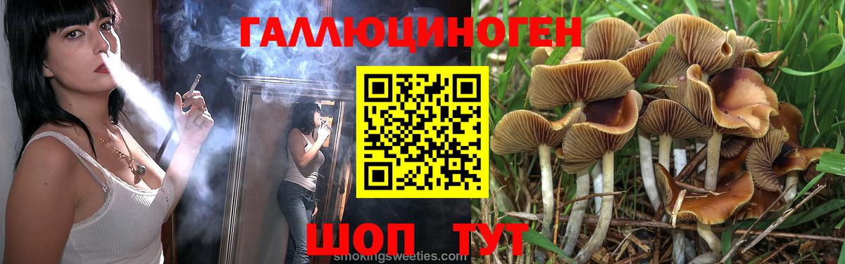 Минусинск  Галлюциногенные грибы Cubensis  Галлюциногенные грибы прущие грибы  Вход с VPN 