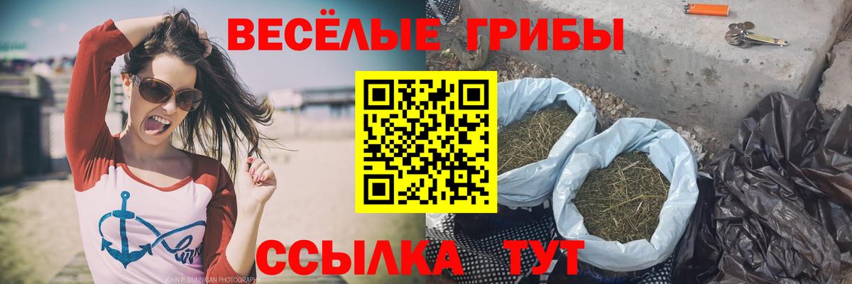Галлюциногенные грибы прущие грибы Минусинск